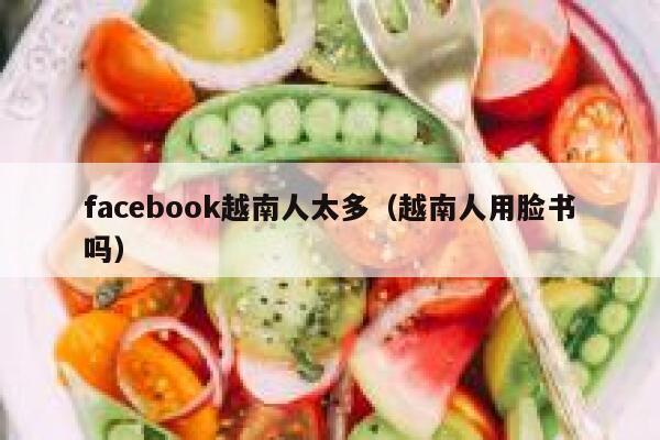 facebook越南人太多（越南人用脸书吗） 第1张