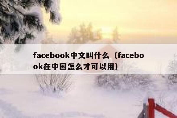 facebook中文叫什么（facebook在中国怎么才可以用） 第1张