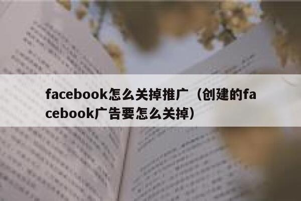 facebook怎么关掉推广（创建的facebook广告要怎么关掉） 第1张