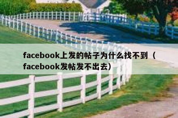 facebook上发的帖子为什么找不到（facebook发帖发不出去） 第1张