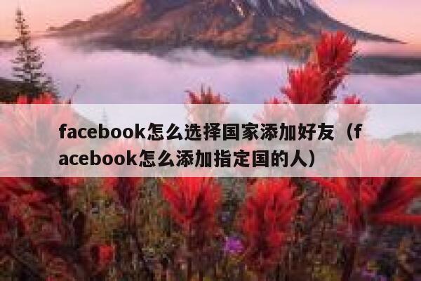 facebook怎么选择国家添加好友（facebook怎么添加指定国的人） 第1张