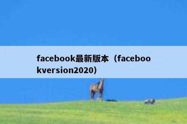 facebook最新版本（facebookversion2020） 第1张
