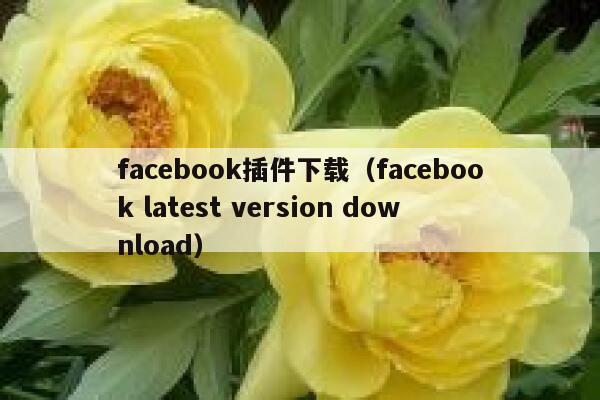 facebook插件下载（facebook latest version download） 第1张