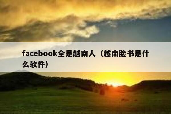 facebook全是越南人（越南脸书是什么软件） 第1张