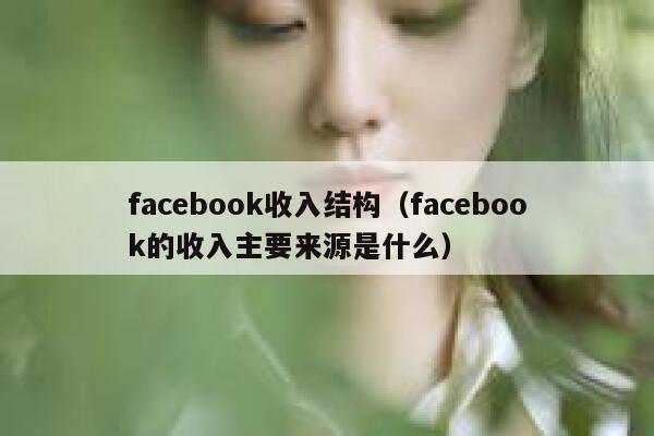 facebook收入结构（facebook的收入主要来源是什么） 第1张