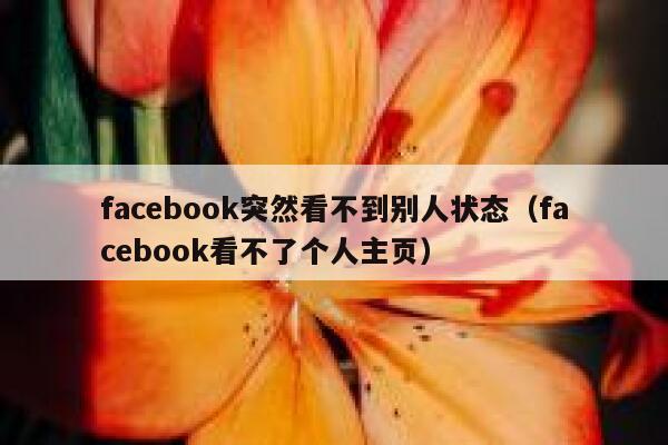 facebook突然看不到别人状态（facebook看不了个人主页） 第1张