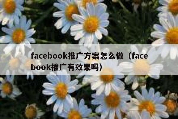 facebook推广方案怎么做（facebook推广有效果吗） 第1张