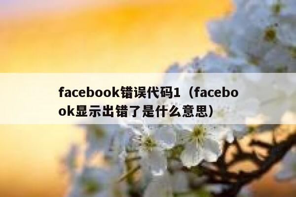 facebook错误代码1（facebook显示出错了是什么意思） 第1张