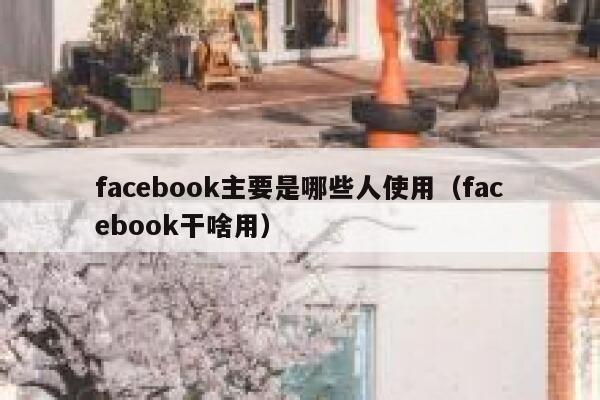 facebook主要是哪些人使用（facebook干啥用） 第1张