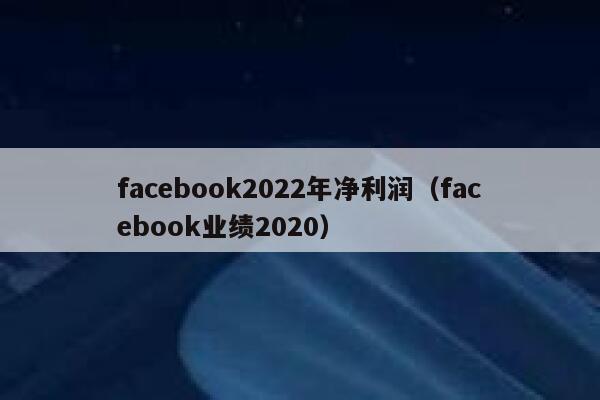 facebook2022年净利润（facebook业绩2020） 第1张