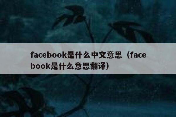 facebook是什么中文意思（facebook是什么意思翻译） 第1张