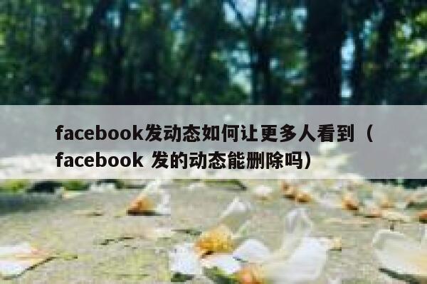 facebook发动态如何让更多人看到（facebook 发的动态能删除吗） 第1张