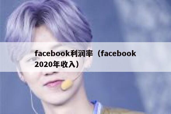 facebook利润率（facebook2020年收入） 第1张