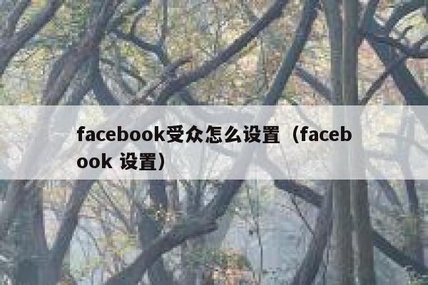 facebook受众怎么设置（facebook 设置） 第1张