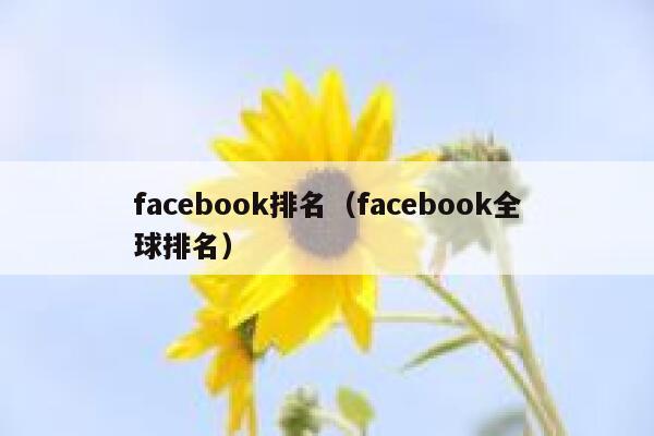 facebook排名（facebook全球排名） 第1张