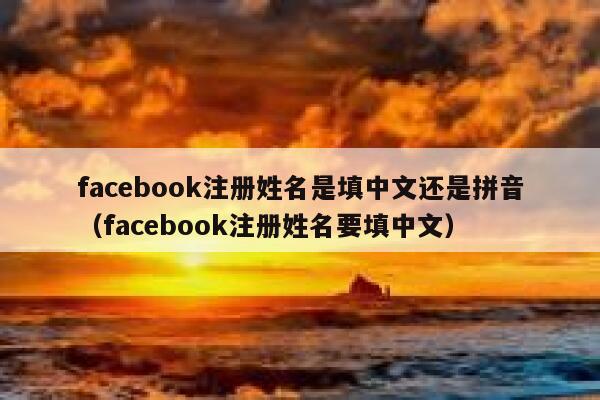 facebook注册姓名是填中文还是拼音（facebook注册姓名要填中文） 第1张
