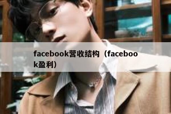 facebook营收结构（facebook盈利） 第1张