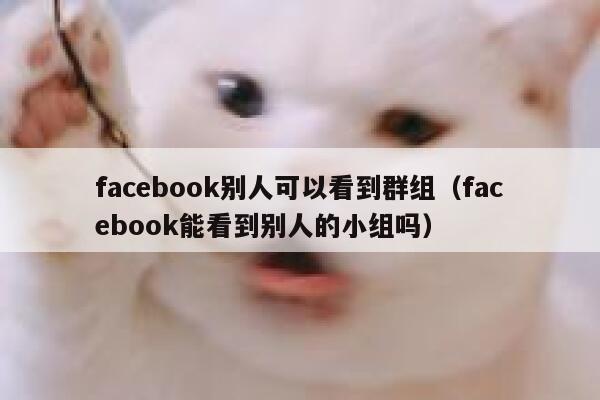 facebook别人可以看到群组（facebook能看到别人的小组吗） 第1张