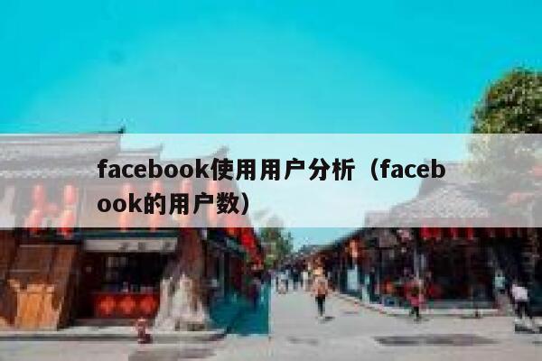 facebook使用用户分析（facebook的用户数） 第1张