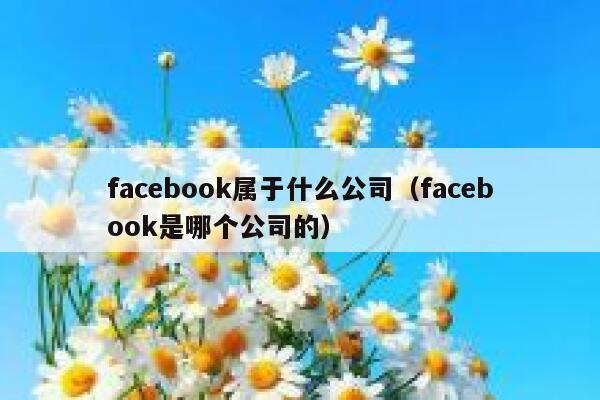 facebook属于什么公司（facebook是哪个公司的） 第1张