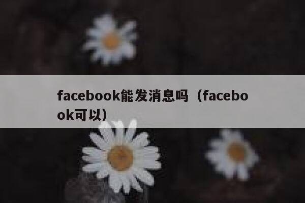 facebook能发消息吗（facebook可以） 第1张