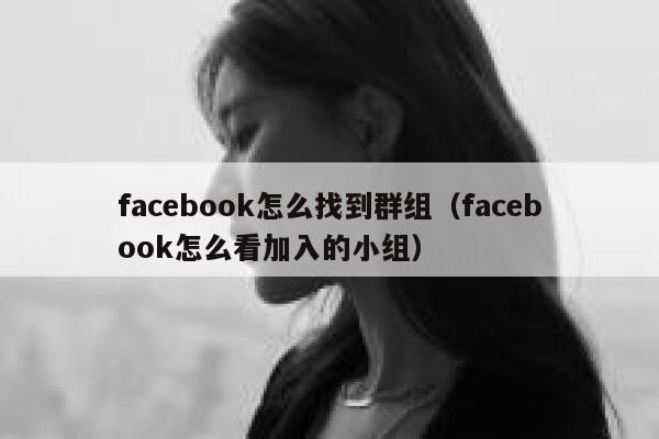 facebook怎么找到群组（facebook怎么看加入的小组） 第1张