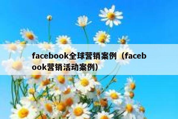 facebook全球营销案例（facebook营销活动案例） 第1张