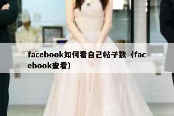 facebook如何看自己帖子数（facebook查看） 第1张