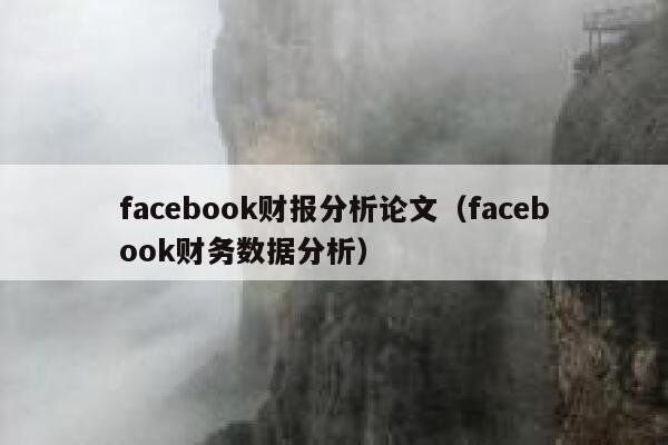 facebook财报分析论文（facebook财务数据分析） 第1张