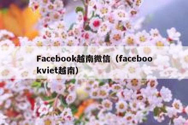 Facebook越南微信（facebookviet越南） 第1张