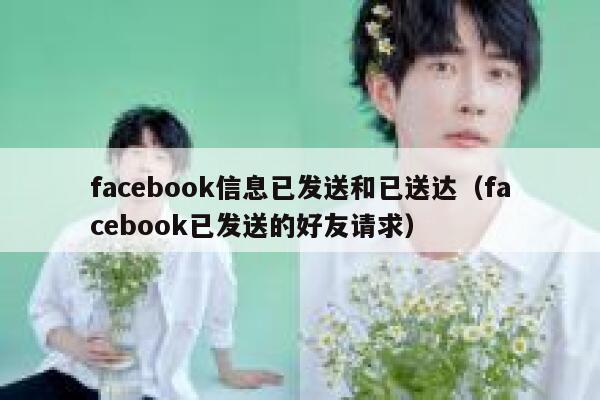 facebook信息已发送和已送达（facebook已发送的好友请求） 第1张
