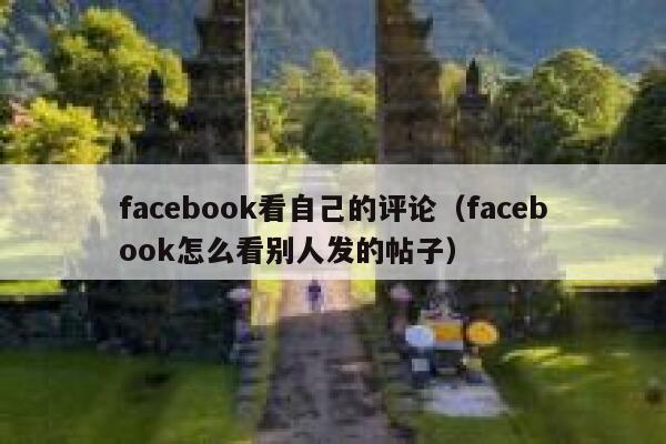 facebook看自己的评论（facebook怎么看别人发的帖子） 第1张