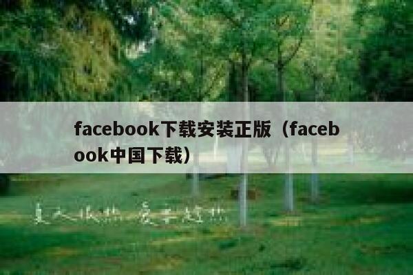 facebook下载安装正版（facebook中国下载） 第1张