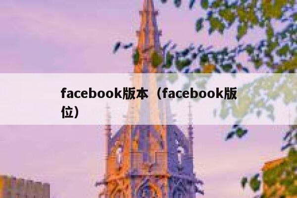 facebook版本（facebook版位） 第1张