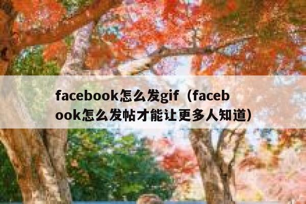 facebook怎么发gif（facebook怎么发帖才能让更多人知道） 第1张