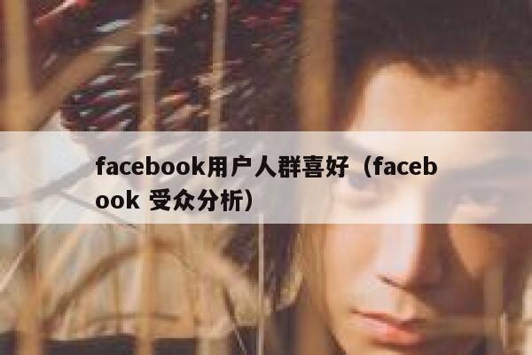 facebook用户人群喜好（facebook 受众分析） 第1张