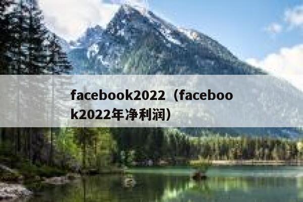facebook2022（facebook2022年净利润） 第1张