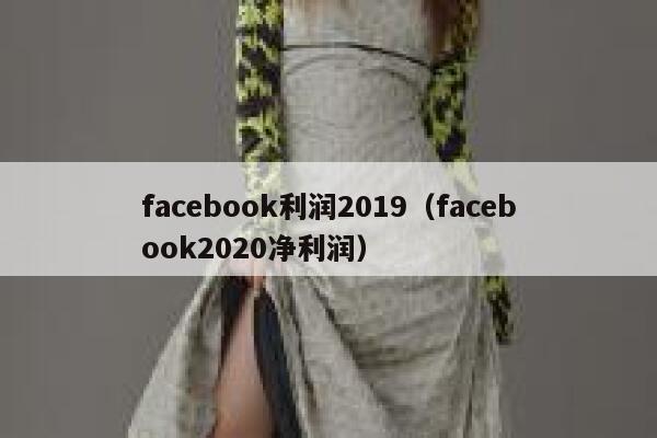 facebook利润2019（facebook2020净利润） 第1张
