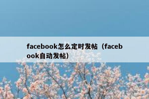 facebook怎么定时发帖（facebook自动发帖） 第1张