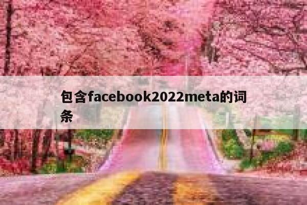 包含facebook2022meta的词条 第1张
