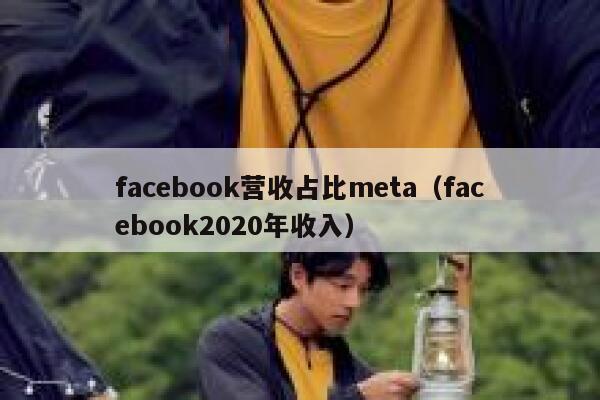 facebook营收占比meta（facebook2020年收入） 第1张