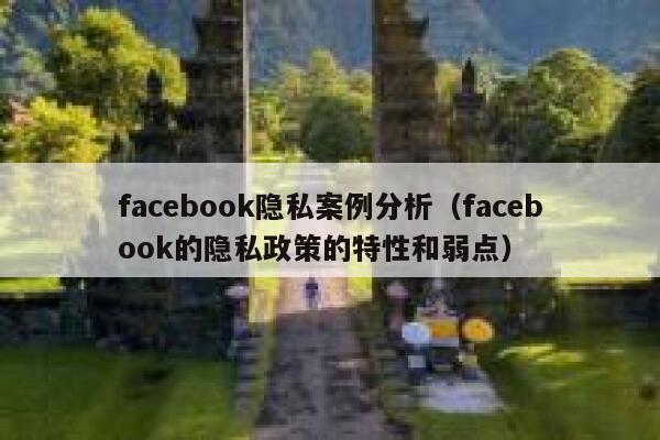 facebook隐私案例分析（facebook的隐私政策的特性和弱点） 第1张