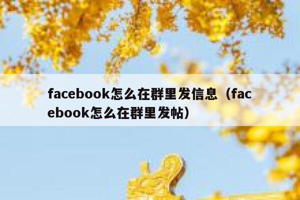 facebook怎么在群里发信息（facebook怎么在群里发帖） 第1张