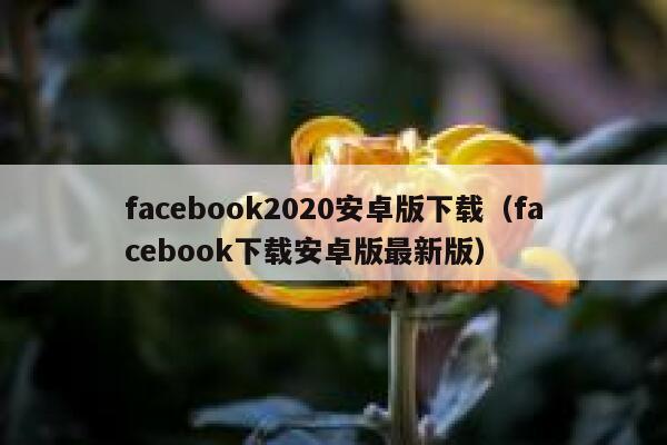 facebook2020安卓版下载（facebook下载安卓版最新版） 第1张
