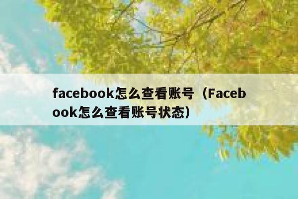 facebook怎么查看账号（Facebook怎么查看账号状态） 第1张