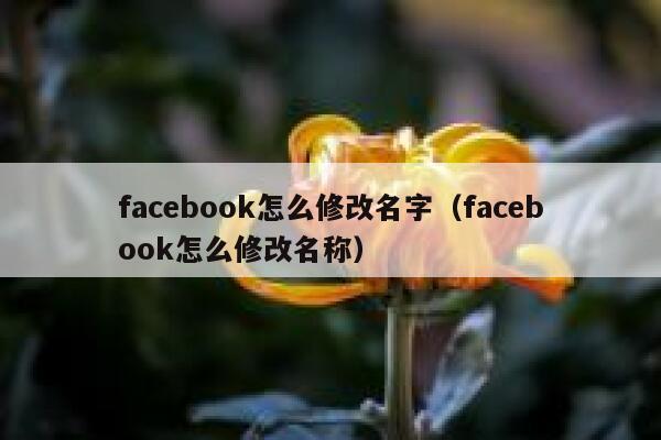 facebook怎么修改名字（facebook怎么修改名称） 第1张