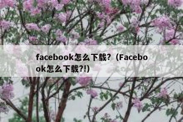 facebook怎么下载?（Facebook怎么下载?!） 第1张