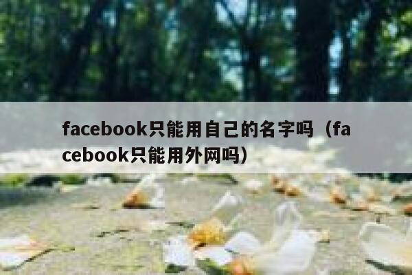 facebook只能用自己的名字吗（facebook只能用外网吗） 第1张