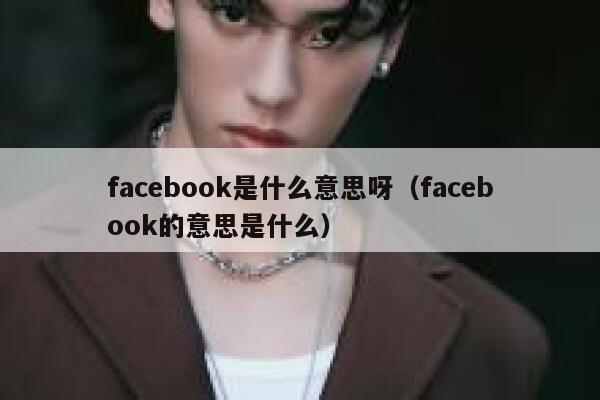 facebook是什么意思呀（facebook的意思是什么） 第1张