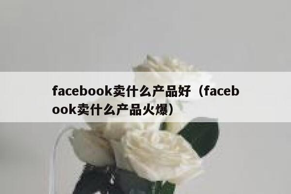 facebook卖什么产品好（facebook卖什么产品火爆） 第1张